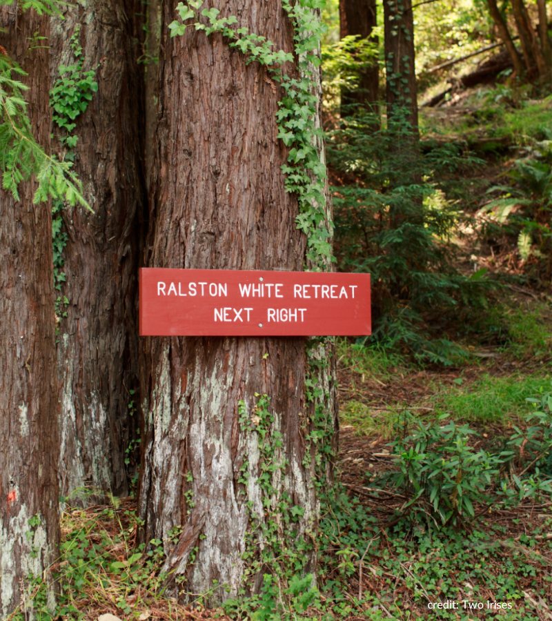 A redwood with the Ralston White Retreat sign