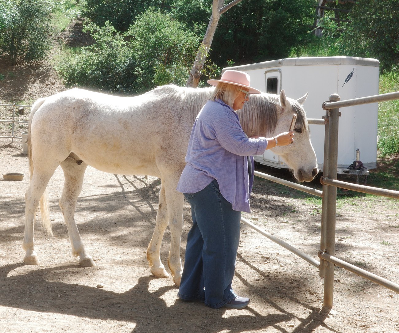 Rose Mary Riggs grooming a horse at Shakti Ranch