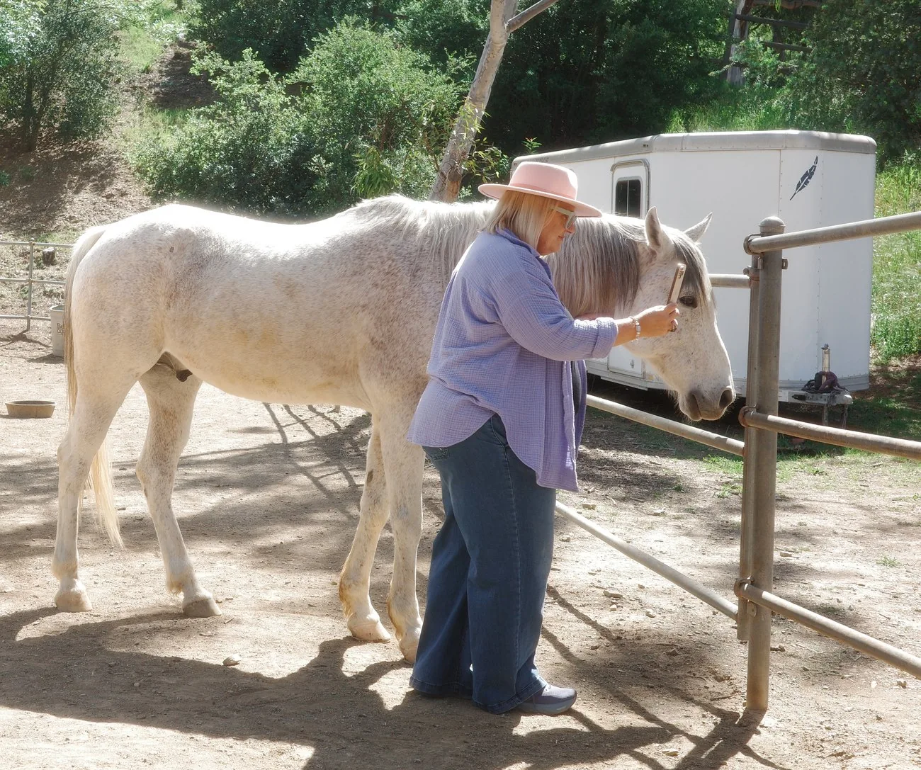 Rose Mary Riggs grooming a horse at Shakti Ranch