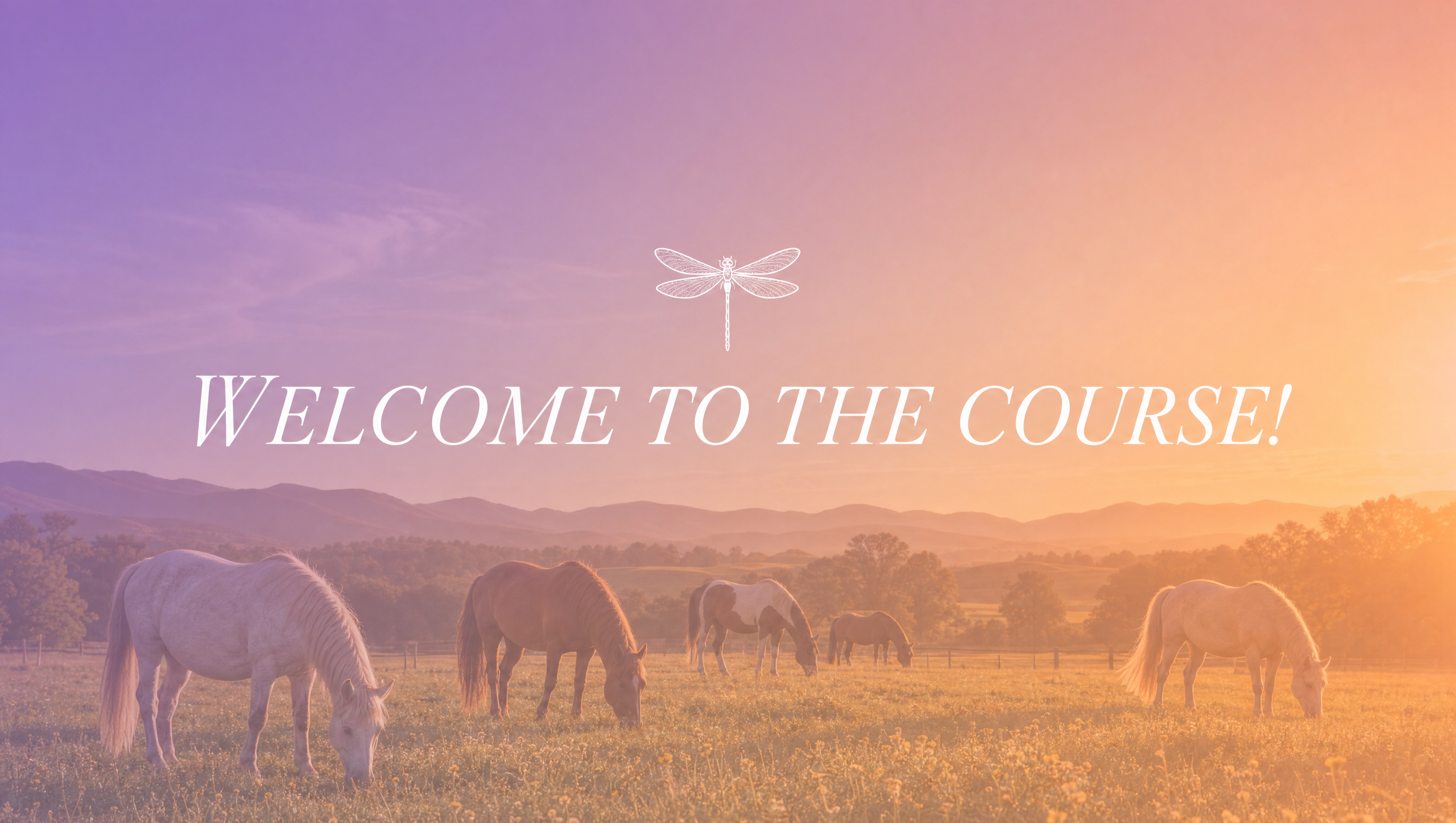 Welcome to the course