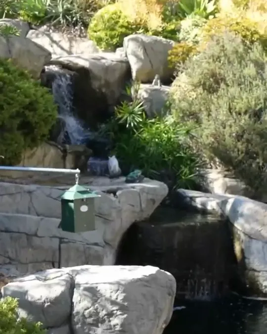 The waterfall garden