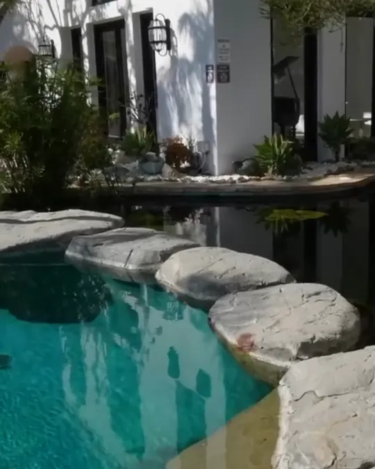 Koi ponds beside the house