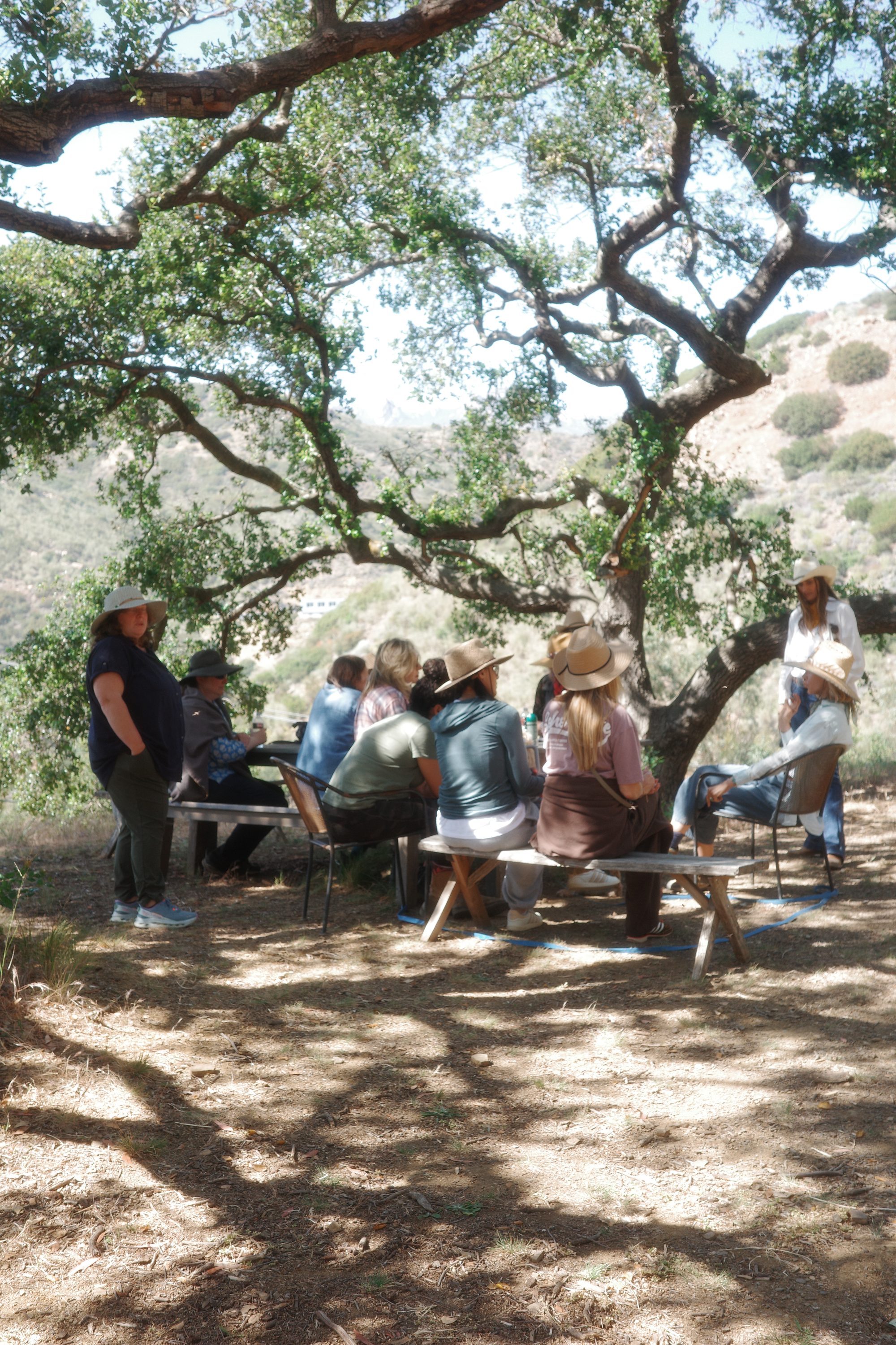 A group gathered under the oak in the Malibu hills at Shakti Ranch