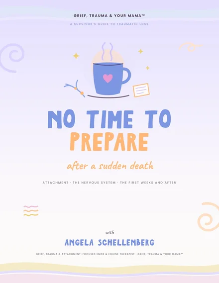 No Time to Prepare cover, a guide for the first weeks after a sudden death